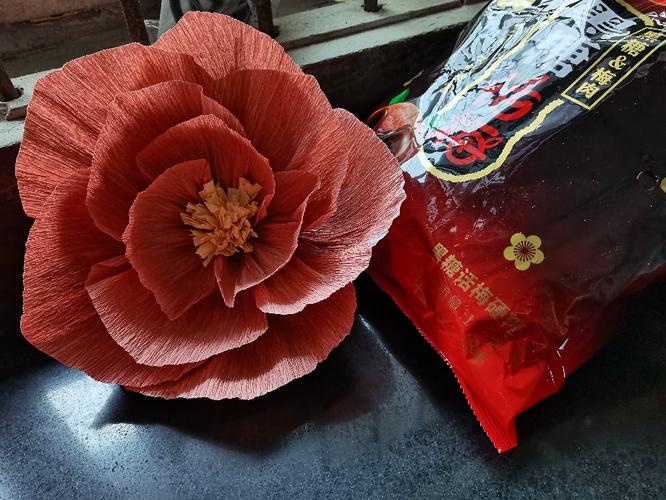 建瓯市特艺纸制品厂 以匠心纸艺，塑造包装与生活之美